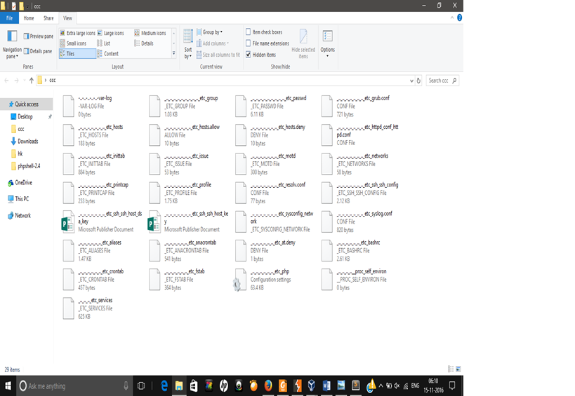 Here’s downloaded files(It is possible to download more system files)